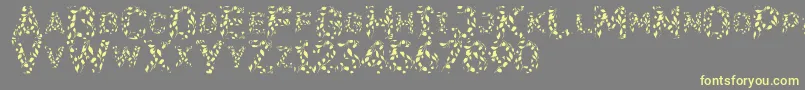 Flora Font – Yellow Fonts on Gray Background