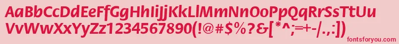 Flora Font – Red Fonts on Pink Background