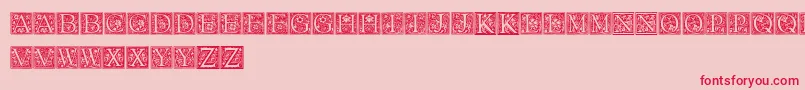 FloralCapitals Font – Red Fonts on Pink Background