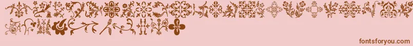 Floralia Font – Brown Fonts on Pink Background