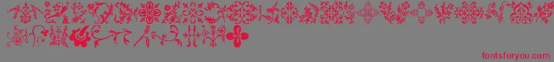Floralia Font – Red Fonts on Gray Background