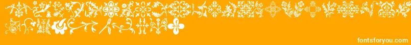 Floralia Font – White Fonts on Orange Background