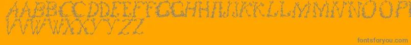 FloralOne-Schriftart – Graue Schriften auf orangefarbenem Hintergrund