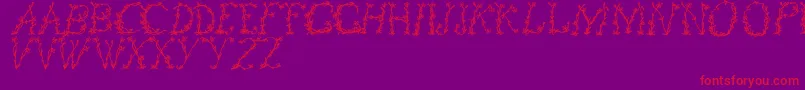 FloralOne-Schriftart – Rote Schriften auf violettem Hintergrund