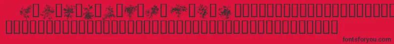 FLORALS1 Font – Black Fonts on Red Background