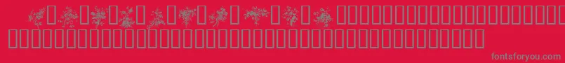 FLORALS1 Font – Gray Fonts on Red Background