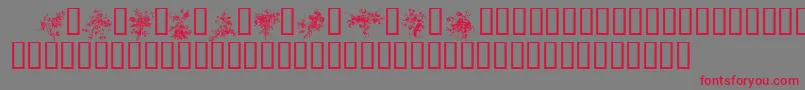 FLORALS1 Font – Red Fonts on Gray Background