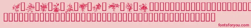 FLORALS1 Font – Red Fonts on Pink Background