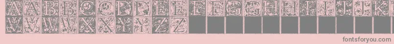 FLORANA Font – Gray Fonts on Pink Background