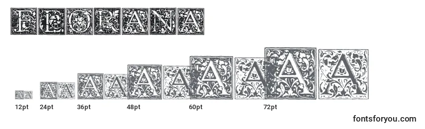 Größen der Schriftart FLORANA