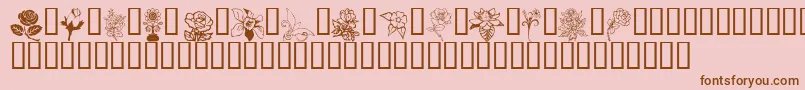 FLORD    Font – Brown Fonts on Pink Background