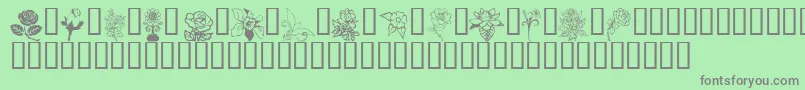FLORD    Font – Gray Fonts on Green Background