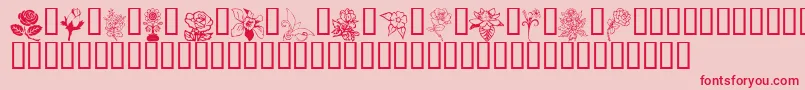 FLORD    Font – Red Fonts on Pink Background