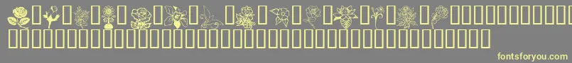 FLORD    Font – Yellow Fonts on Gray Background