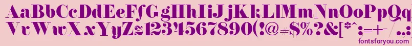 florence Font – Purple Fonts on Pink Background
