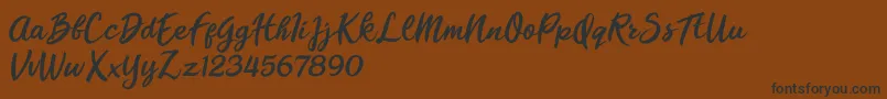 Florencia Blonde Font – Black Fonts on Brown Background
