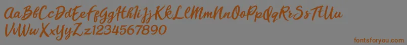 Florencia Blonde Font – Brown Fonts on Gray Background