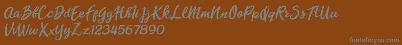 Florencia Blonde Font – Gray Fonts on Brown Background