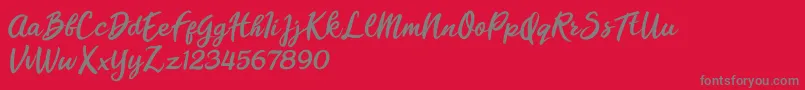 Florencia Blonde Font – Gray Fonts on Red Background