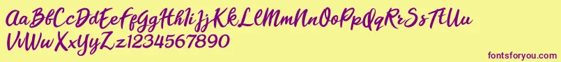 Florencia Blonde Font – Purple Fonts on Yellow Background