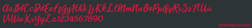 Florencia Blonde Font – Red Fonts on Black Background