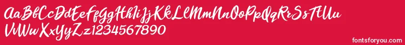 Florencia Blonde Font – White Fonts on Red Background