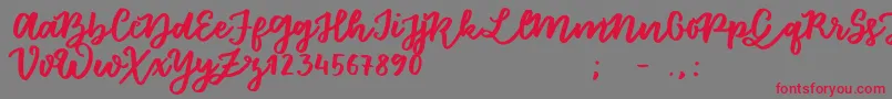 FloretSample Font – Red Fonts on Gray Background