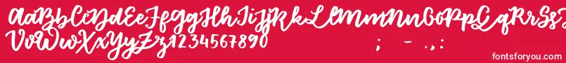 FloretSample Font – White Fonts on Red Background