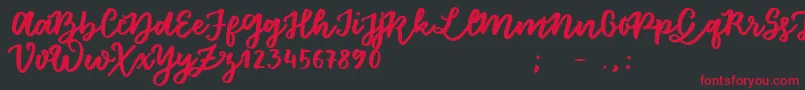 FloretSample Font – Red Fonts on Black Background