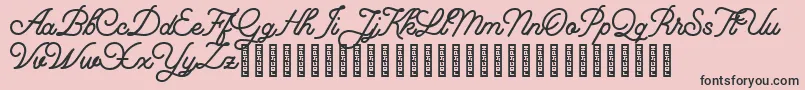 Florista Font – Black Fonts on Pink Background