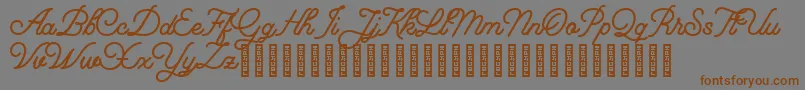 Florista Font – Brown Fonts on Gray Background