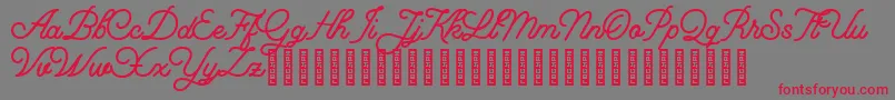Florista Font – Red Fonts on Gray Background