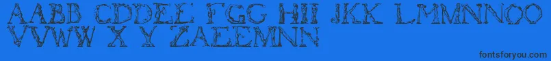 Flotner Font – Black Fonts on Blue Background