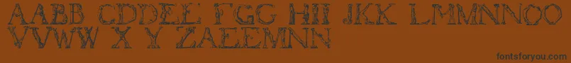 More about Flotner Font Flotner Font – Black Fonts on Brown Background