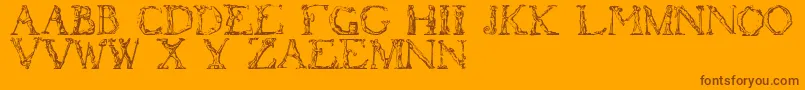 フォントFlotner – オレンジの背景に茶色のフォント