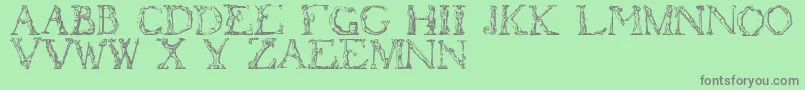 Flotner Font – Gray Fonts on Green Background