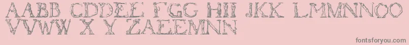 Flotner Font – Gray Fonts on Pink Background