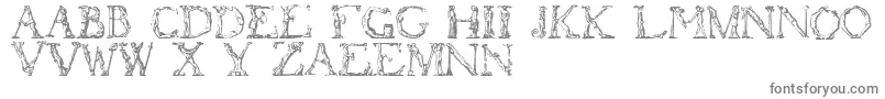 フォントFlotner – 白い背景に灰色の文字