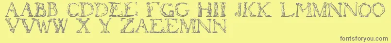 fuente Flotner – Fuentes Grises Sobre Fondo Amarillo