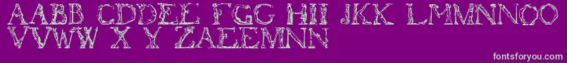 fuente Flotner – Fuentes Verdes Sobre Fondo Morado