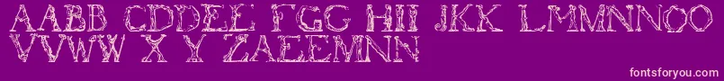 Flotner-Schriftart – Rosa Schriften auf violettem Hintergrund