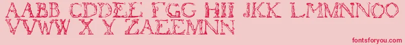 Flotner Font – Red Fonts on Pink Background