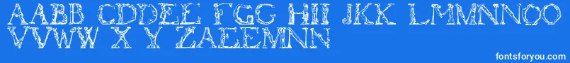 Flotner-Schriftart – Weiße Schriften auf blauem Hintergrund