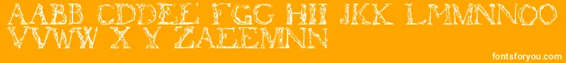 Flotner-Schriftart – Weiße Schriften auf orangefarbenem Hintergrund
