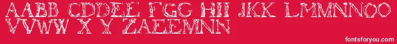 fuente Flotner – Fuentes Blancas Sobre Fondo Rojo