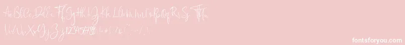 Flowatt Font – White Fonts on Pink Background
