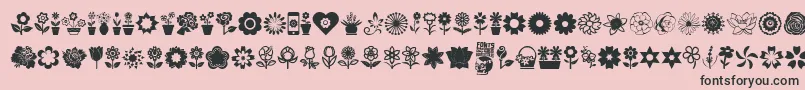 fuente Flower Icons – Fuentes Negras Sobre Fondo Rosa