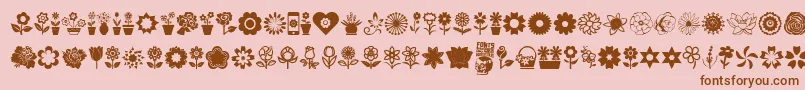 フォントFlower Icons – ピンクの背景に茶色のフォント