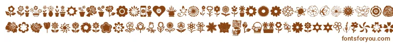 Flower Icons Font – Brown Fonts on White Background