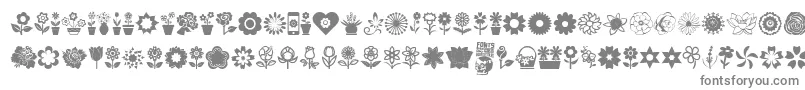 Шрифт Flower Icons – серые шрифты на белом фоне